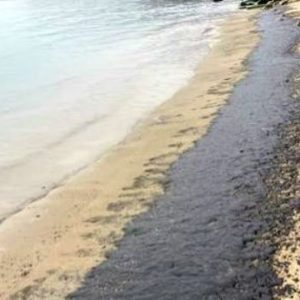 Морето изхвърли мазут на варненския плаж