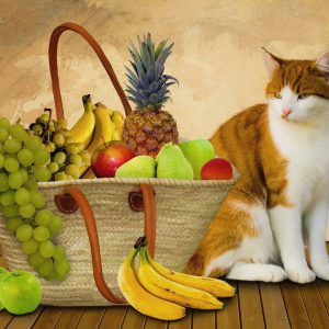 Научете кои са плодовете, разрешени за “почерпка” на котето
