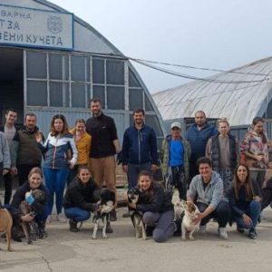 Питомниците на приюта в с. Каменар се сдобиха с обновени дървени къщички