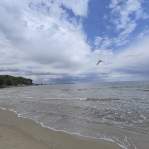 С какво време започва новата седмица по Черноморието