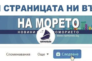 Семейство диви прасета отиде на плаж във Варна (ВИДЕО)